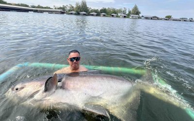🔥 🎣 The Ultimate Mekong Catfish Experience – Fish with a True Legend 🇹🇭