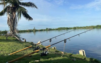 🎣 🇹🇭 10 Top Things to Pack for Your Next Fishing Holiday in Thailand