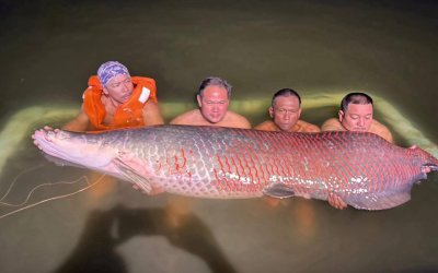 🇹🇭 🎣 The Ultimate Guide to Fishing Holidays in Thailand