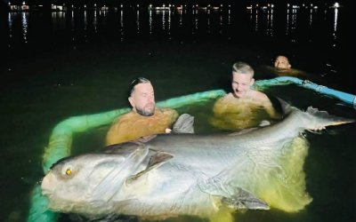 New Bungsamran Fishing Park Bangkok Thailand