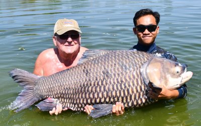 Palm Tree Lagoon Fishery Ratchaburi Thailand 