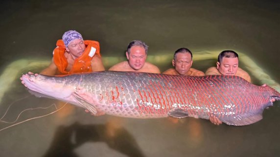 🇹🇭 🎣 The Ultimate Guide to Fishing Holidays in Thailand
