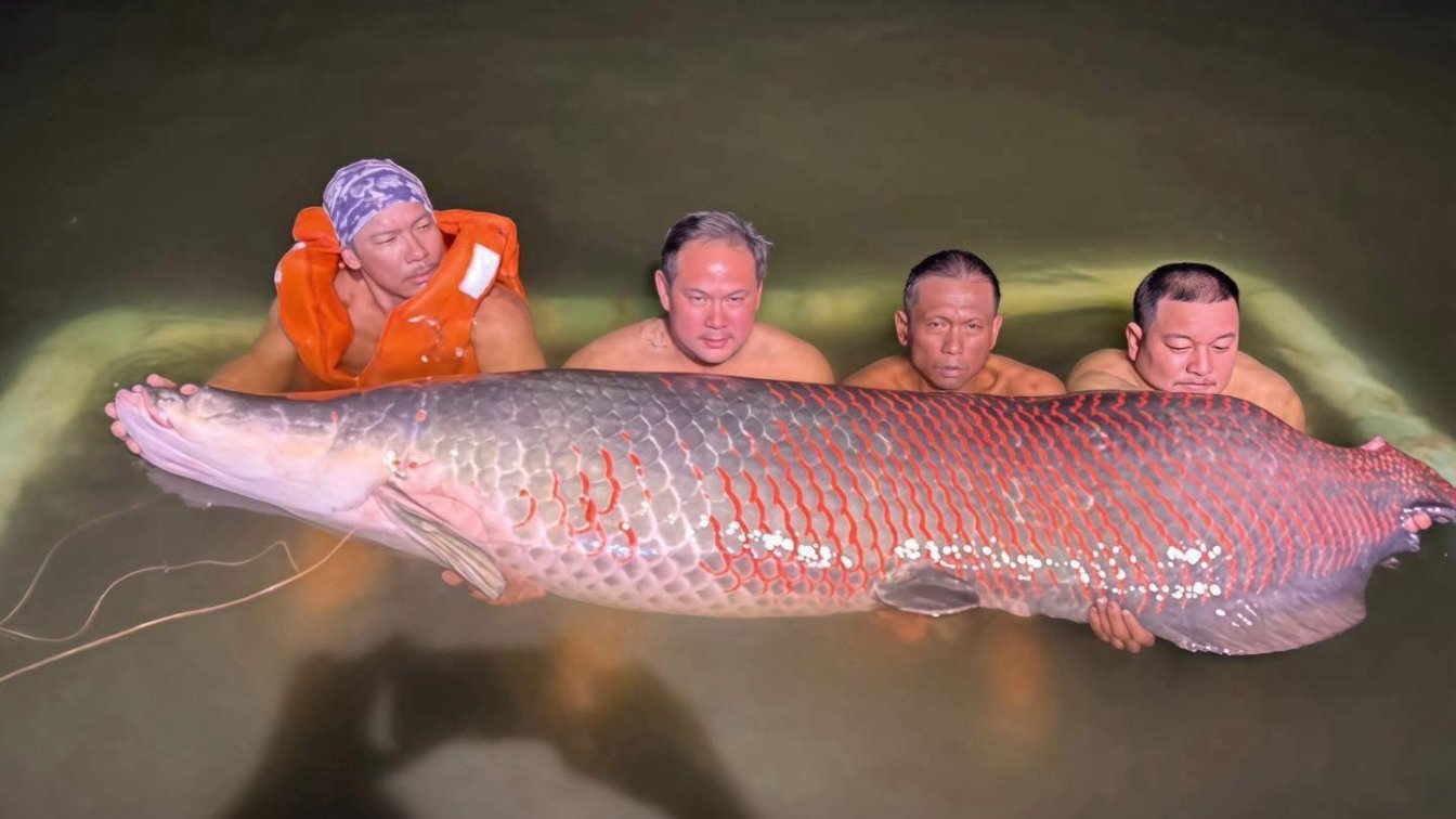 🇹🇭 🎣 The Ultimate Guide to Fishing Holidays in Thailand