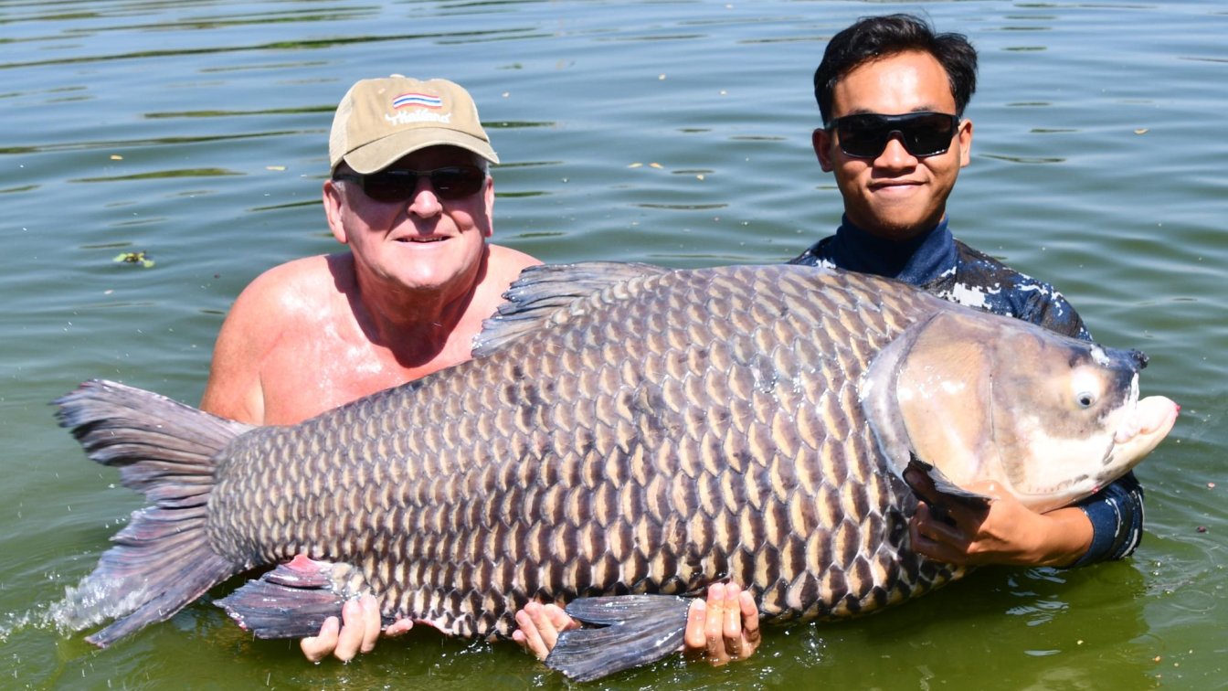 Palm Tree Lagoon Fishery Ratchaburi Thailand 